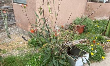 ¡ARRIENDO AMOBLADO, CONDOMINIO MARSELLA!