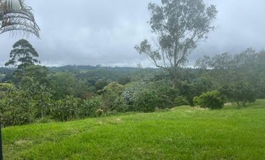 ARRIENDO de LOCALES en PEREIRA