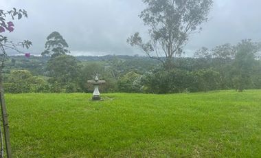 ARRIENDO de LOCALES en PEREIRA