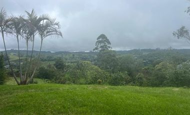 ARRIENDO de LOCALES en PEREIRA