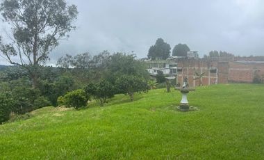 ARRIENDO de LOCALES en PEREIRA