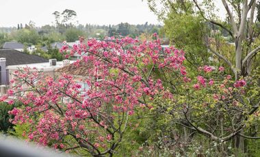 Departamento en  Zug Verdi 2 ambientes