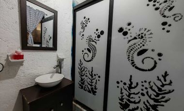 CASA DE UNA SOLA PLANTA EN CD. NEZAHUALCOYOTL, COLONIA LOS MANANTIALES