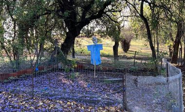 Casa en  Alquiler, Villa Allende Golf