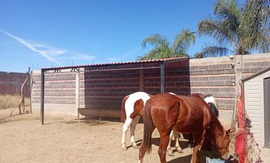 Casa de Campo en el Bajio Rincón de Romo Aguascalientes