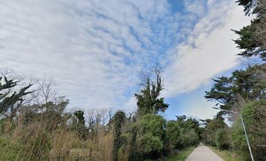 Terreno en venta - 1.304Mts2 - Mar del Plata