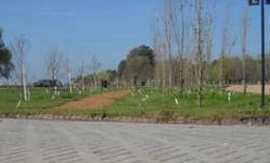 VENTA LOTE:  Barrio Abierto LAS TARDES- Roldan