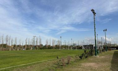 Terreno en venta - 1.037Mts2 - Nordelta