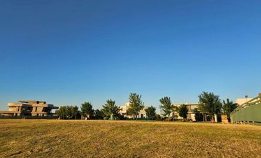 Terreno en venta - 1.037Mts2 - Nordelta