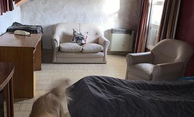 Casa - Lomas De Zamora