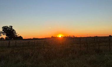 Cañuelas. 189 has de Campo mixto en venta