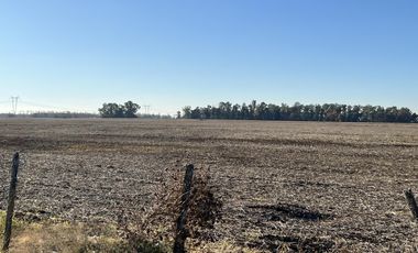 Cañuelas. 189 has de Campo mixto en venta