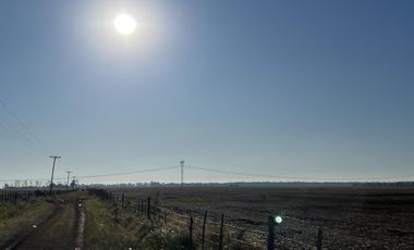 Cañuelas. 189 has de Campo mixto en venta