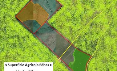 Cañuelas. 189 has de Campo mixto en venta