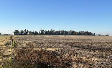 Cañuelas. 189 has de Campo mixto en venta