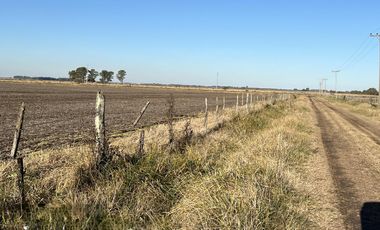 Cañuelas. 189 has de Campo mixto en venta