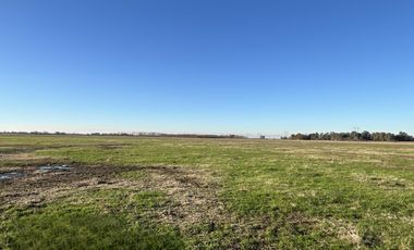 Cañuelas. 189 has de Campo mixto en venta