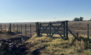 Cañuelas. 189 has de Campo mixto en venta