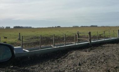 Cañuelas. 189 has de Campo mixto en venta