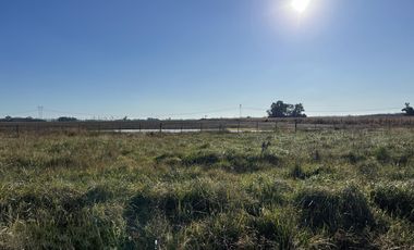 Cañuelas. 189 has de Campo mixto en venta