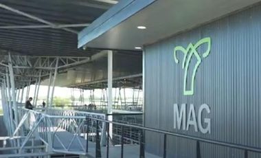 Cañuelas. 189 has de Campo mixto en venta