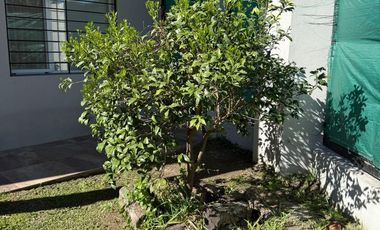 Alquiler Temporal Casa 5 Amb en Ing Maschwitz Escobar