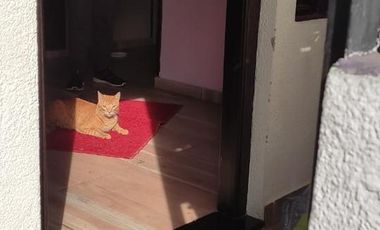 PH en venta - 2 Dormitorios 1 Baño - 170Mts2 - Moreno