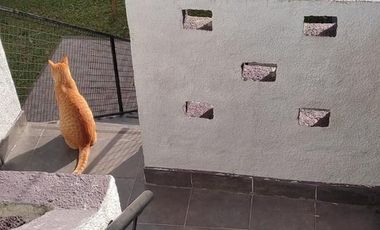 PH en venta - 2 Dormitorios 1 Baño - 170Mts2 - Moreno