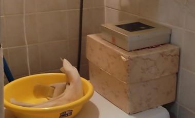 PH en venta - 2 Dormitorios 1 Baño - 170Mts2 - Moreno