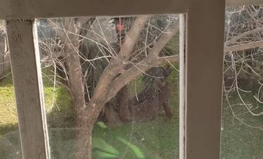 PH en venta - 2 Dormitorios 1 Baño - 170Mts2 - Moreno