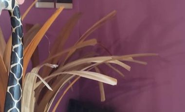 PH en venta - 2 Dormitorios 1 Baño - 170Mts2 - Moreno