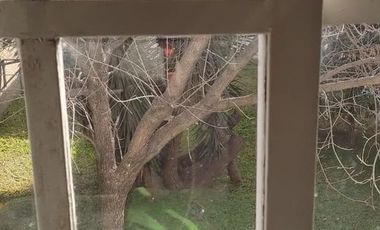 PH en venta - 2 Dormitorios 1 Baño - 170Mts2 - Moreno