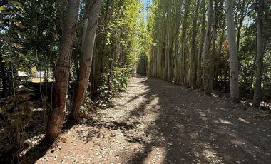 Casa Quinta en venta Allen - Rio Negro
