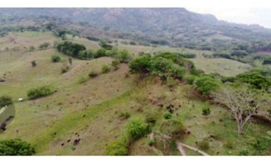 Venta finca ganadera y recreo en Fredonia, en el suroeste antioqueño