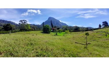 VENTA DE FINCA FREDONIA, SUROESTE ANTIOQUEÑO.