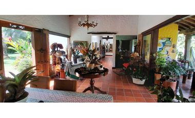 VENTA DE FINCA FREDONIA, SUROESTE ANTIOQUEÑO.