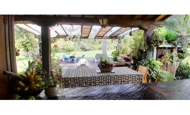 VENTA DE FINCA FREDONIA, SUROESTE ANTIOQUEÑO.