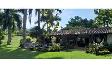 VENTA DE FINCA FREDONIA, SUROESTE ANTIOQUEÑO.