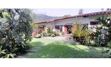 VENTA DE FINCA FREDONIA, SUROESTE ANTIOQUEÑO.