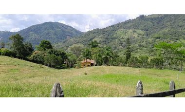 VENTA DE FINCA FREDONIA, SUROESTE ANTIOQUEÑO.