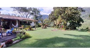 VENTA DE FINCA FREDONIA, SUROESTE ANTIOQUEÑO.