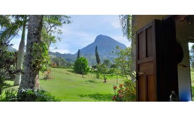 VENTA DE FINCA FREDONIA, SUROESTE ANTIOQUEÑO.