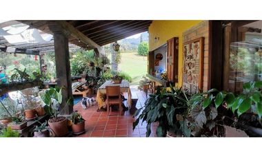 VENTA DE FINCA FREDONIA, SUROESTE ANTIOQUEÑO.