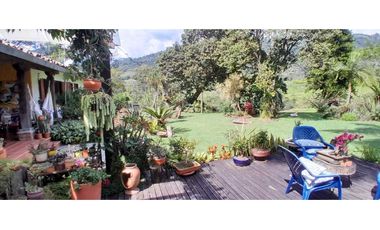 VENTA DE FINCA FREDONIA, SUROESTE ANTIOQUEÑO.