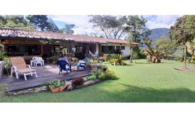 VENTA DE FINCA FREDONIA, SUROESTE ANTIOQUEÑO.