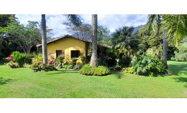 VENTA DE FINCA FREDONIA, SUROESTE ANTIOQUEÑO.