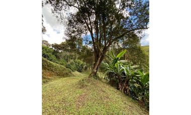Casa en Arriendo en San Vicente