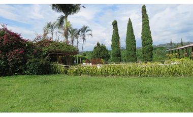 Finca en Pereira - Vive la Magia del Paisaje Cultural Cafetero