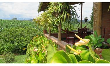 Finca en Pereira - Vive la Magia del Paisaje Cultural Cafetero