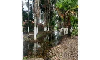 LOTE EN VENTA EN VEREDA APIAY VIA LA VIGIA VILLAVICENCIO